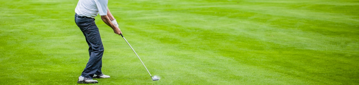 Tee Up 4 Golf